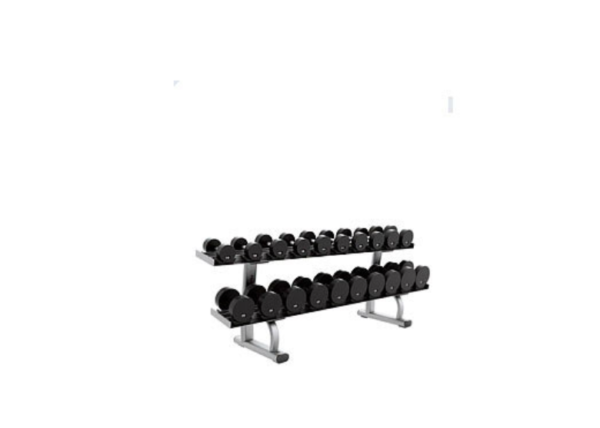 Life Fitness Signature Series Two Tier Dumbbell Rack