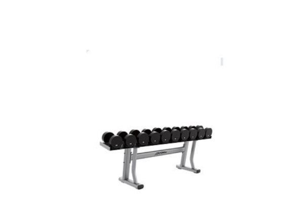 Life Fitness Signature Series Single Tier Dumbbell Rack